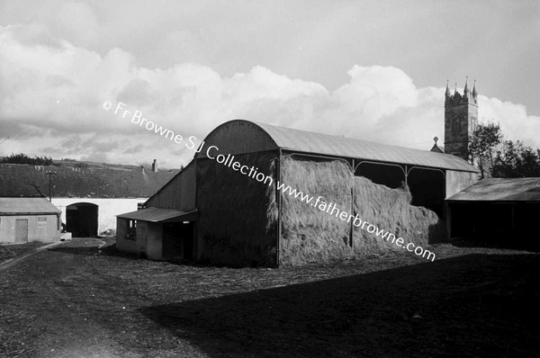 ST MARYS ABBEY (CISTERCIAN NUNS)  FARM YARD  BROTHER LUKE O'CIST AND HIS COLLIES